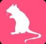 WHite Mouse, pink background